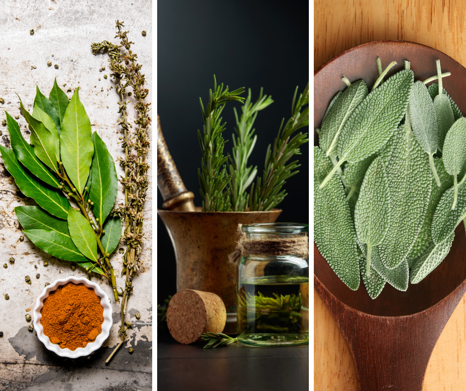 Imagem abaixo do segundo parágrafo